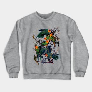 John J. Audubon Carolina Parakeet Crewneck Sweatshirt